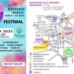 Akcja Festool – pasja, relacje i odpowiedzialność społeczna